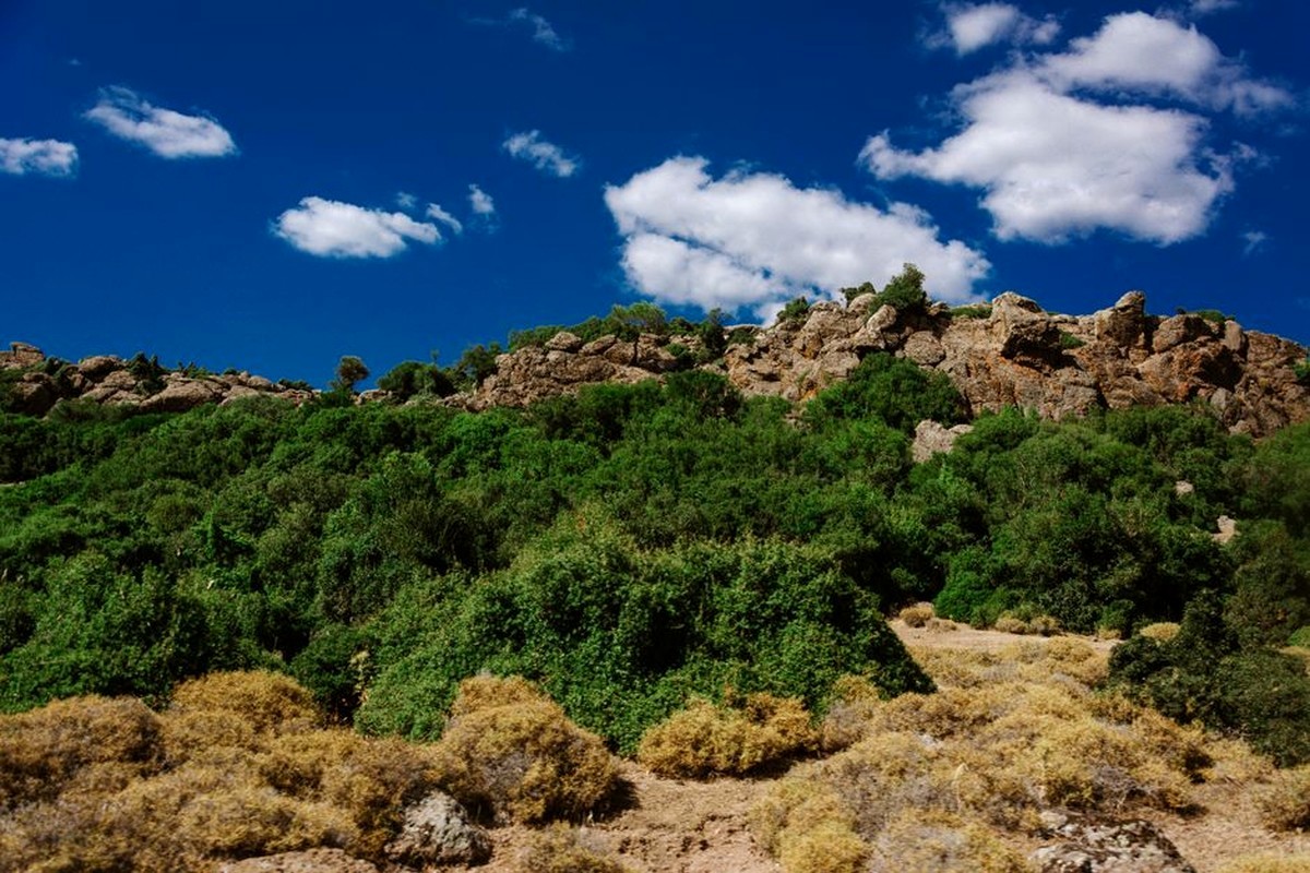 A rocky green landscape beneath a clear blue sky